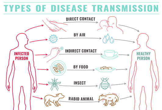 Disease transmission types-12