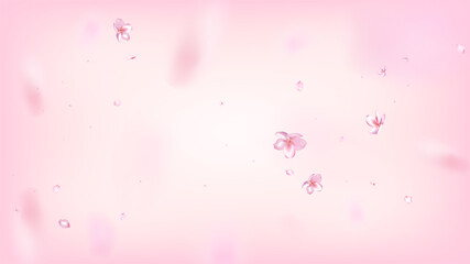 Fototapeta na wymiar Nice Sakura Blossom Isolated Vector. Summer Blowing 3d Petals Wedding Pattern. Japanese Bokeh Flowers Illustration. Valentine, Mother's Day Pastel Nice Sakura Blossom Isolated on Rose