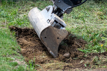 Bagger hebt ein Loch im Garten aus