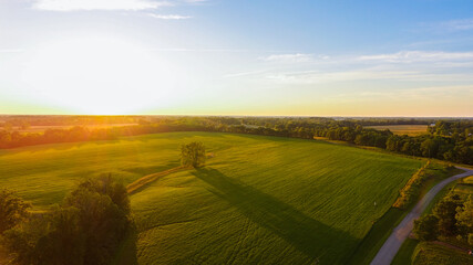 Obraz premium sunset over the field