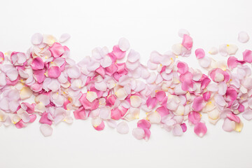 Naklejka na ściany i meble Pink rose flowers petals on white background. Flat lay, top view, copy space.