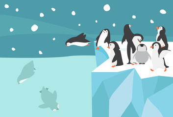 Winter North pole Arctic penguin group small landscape background
