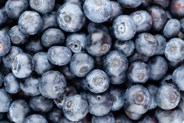 Fresh blueberry background. Texture blueberry berries close up.