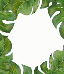 Fototapeta premium A frame of tropical leaves. Hand drawing of watercolor. Ideal for a greeting card, invitation or save a date, book or cover template, just add your text. Botanical illustration
