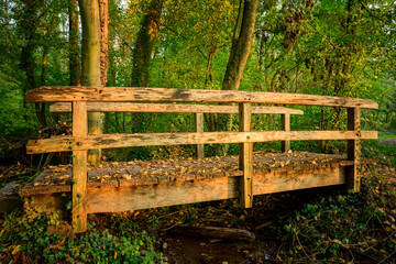 Baden-Württemberg, Holzbrücke im Wald