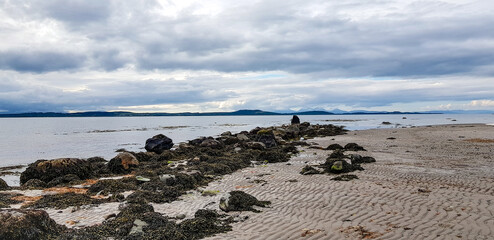 seagulls on the beach