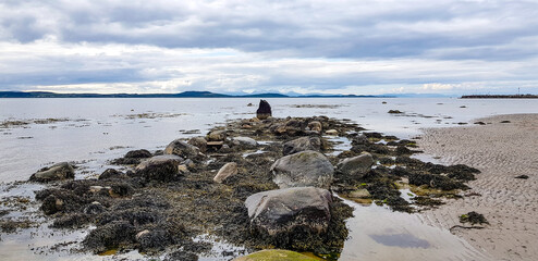 seagulls on the beach