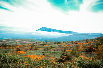 Beautiful view of colorful autumn on mountain road at Towada-Hachimantai park , Goshogake nature...