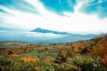 Beautiful view of colorful autumn on mountain road at Towada-Hachimantai park , Goshogake nature trail, Hachimantai visitor center.