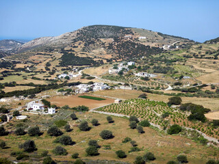 Fototapeta na wymiar Rolling countryside on Paros, Greek Islands