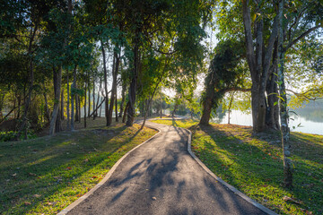 Obraz premium Greenery park walkway in morning sun rise.