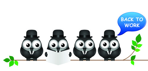 Comical back to work bird businessmen following COVID 19 economic shutdown isolated on white background