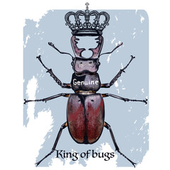 Beautiful fashion illustration with deer beetle and crown