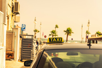 Taxi car on the palm tree beach at sunset. Concept. Fast and cheap taxi booking service. Travel. Summer time. Creative