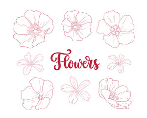 Set of hand-drawn line flowers with handwritten lettering. Vector sketch illustration isolated on white background. Floral design for banner, poster, print template. Nature blossom concept.
