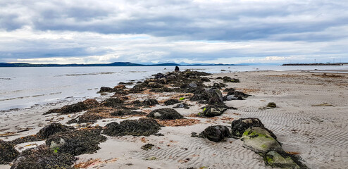 beach and rocks