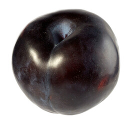 blue plum, isolated on a white background.