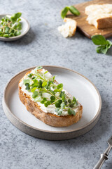 Tasty sandwich with fresh radish microgreen and cream cheese on grey background. Close up.