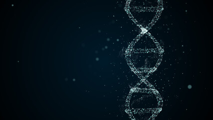 Diagonal view on insertion of new segements into DNA spiral structure