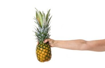 pineapple caught from a limb of the body on a white background