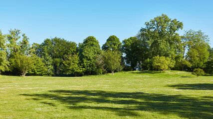 Large green garden with trees against a blue sky