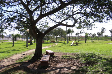bench in the park