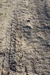 traces on sand