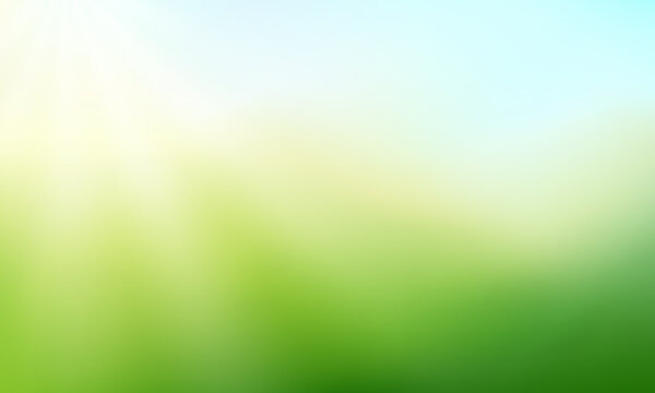Abstract green gradient background. Nature blurred backdrop with sunlight. Vector illustration. Ecology concept for your graphic design, banner, website or poster