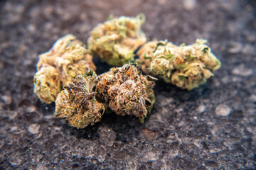 Macro Marijuana bud 