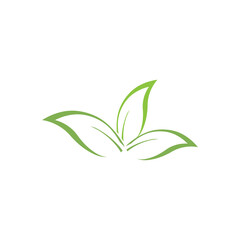 Eucalyptus leaves logo vector template