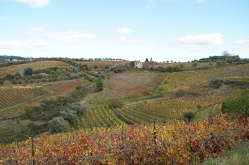 Fototapeta na wymiar The valley of the Dora river.Growing vineyards for port wine.Grape expanses, yellow, orange, maroon fields of vineyards in Portugal.Ripe grapes in autumn for wine.Views of the grape mountains and vall