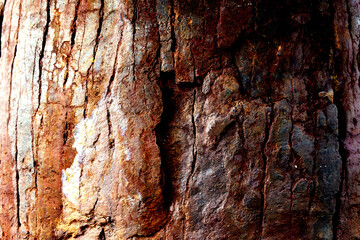 Rusty metal textures for background