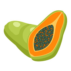 Fresh Papaya fruit and Papaya slice on white background. Vector illustration flat cartoon design.