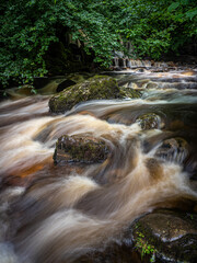 Lower waterfalls on Kirk Burn running through Campsie Glen just above Clachan of Campsie nr...