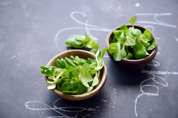 Green lettuce salad