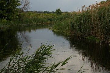 river at sunset.neighborhood of the river in the evening.river, water, reeds