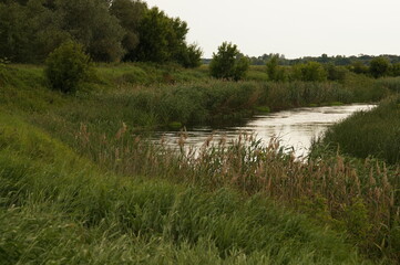 river at sunset.neighborhood of the river in the evening.river, water, reeds