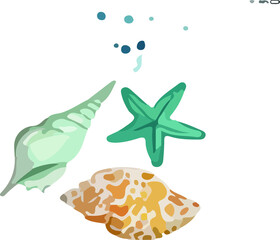 seashell and starfish vector illustration