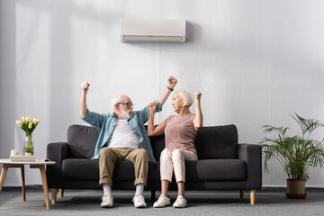 Excited elderly couple showing yeah gesture under air conditioner at home