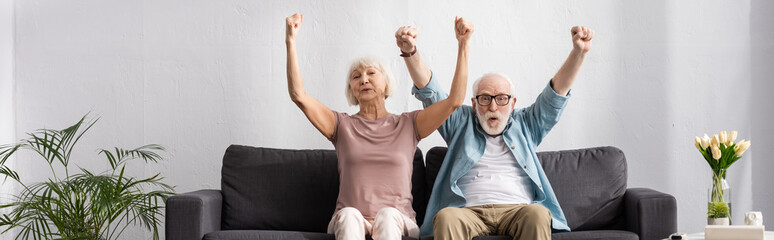 Panoramic crop of positive senior couple showing yeah gesture on couch in living room