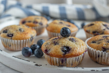 home made sweet vanilla blueberry muffins on a table