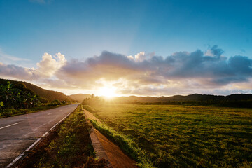 Tropical sunset. Empty road. Green field.