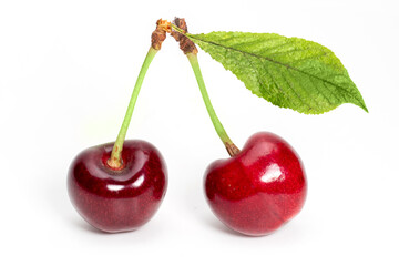 Two perfect sweet cherries with cherry leaf isolated on a white background.