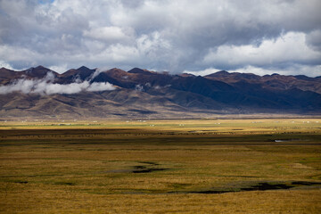 Fototapeta premium wetlands with sky and clouds, with all animals in china