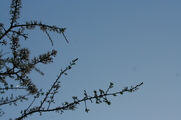 beautiful sky 