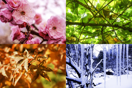 Goniva74 Photos Images Assets Adobe Stock Goniva74 Photos Images Assets Adobe Stock