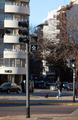 pedestrian traffic light at the intersection