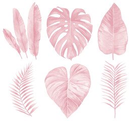 Tropical branches set. Light pink leaves. Watercolour illustration on white background.