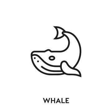 whale vector icon. whale sign symbol. Modern simple icon element for your design	