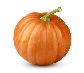 Pumpkin isolated on white background